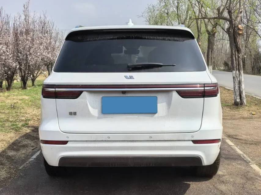 2020 Li ONE Range Extended 131HP REEV 40.5KWH,autocango,china used car exporter,china ev exporter,chinese used car exporter,chinese used ev exporter
