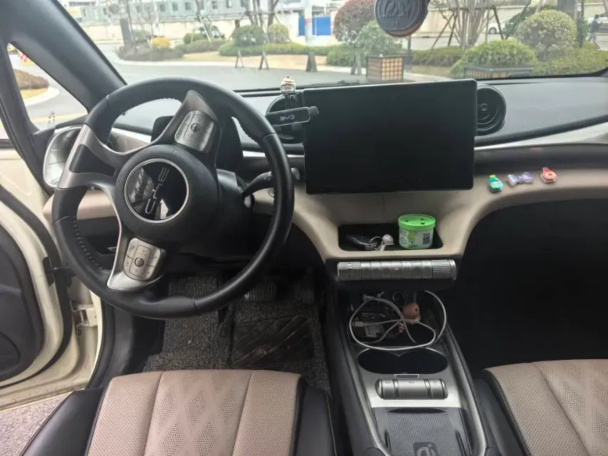 2023 BYD Dolphin BEV 44.928KWH,autocango,china used car exporter,china ev exporter,chinese used car exporter,chinese used ev exporter