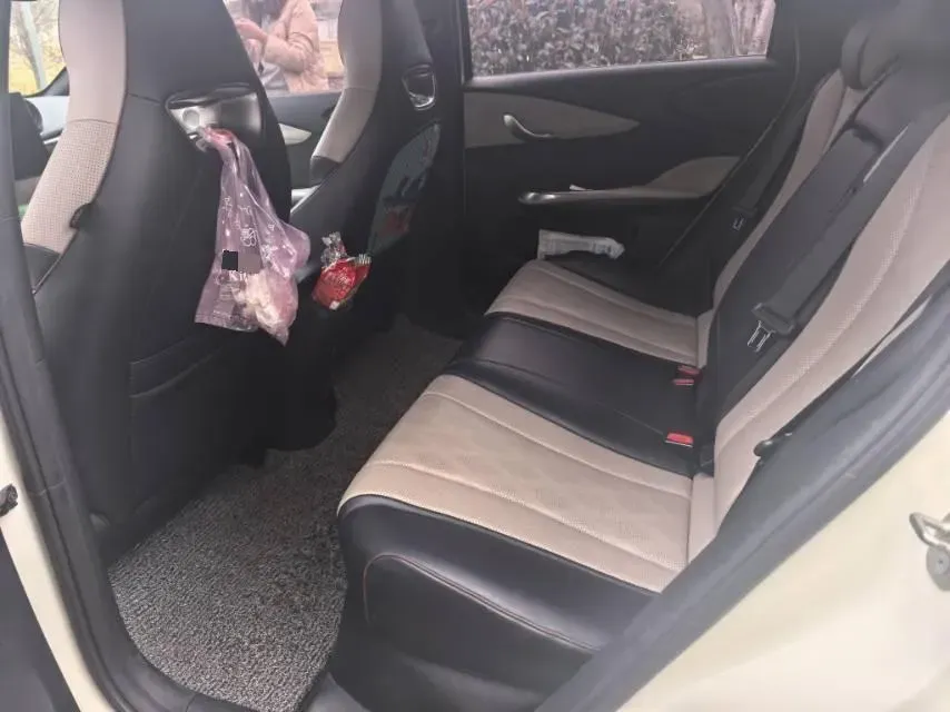 2023 BYD Dolphin BEV 44.928KWH,autocango,china used car exporter,china ev exporter,chinese used car exporter,chinese used ev exporter