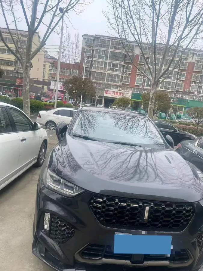 2017 WEY VV5 2.0T 197HP L4 7DCT,autocango,china used car exporter,china ev exporter,chinese used car exporter,chinese used ev exporter