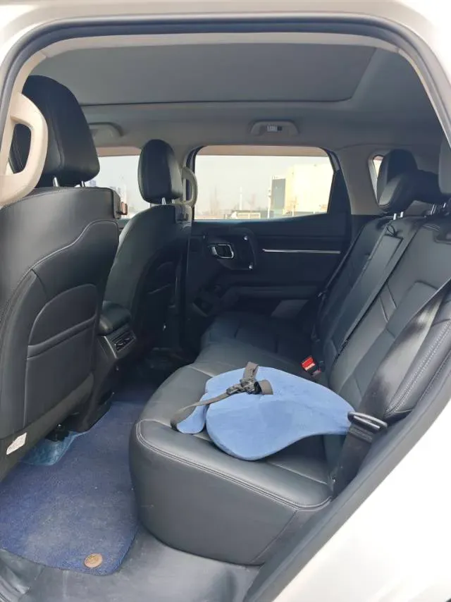 2023 Haval Dargo PLUS 1.5T 184HP L4 7DCT,autocango,china used car exporter,china ev exporter,chinese used car exporter,chinese used ev exporter