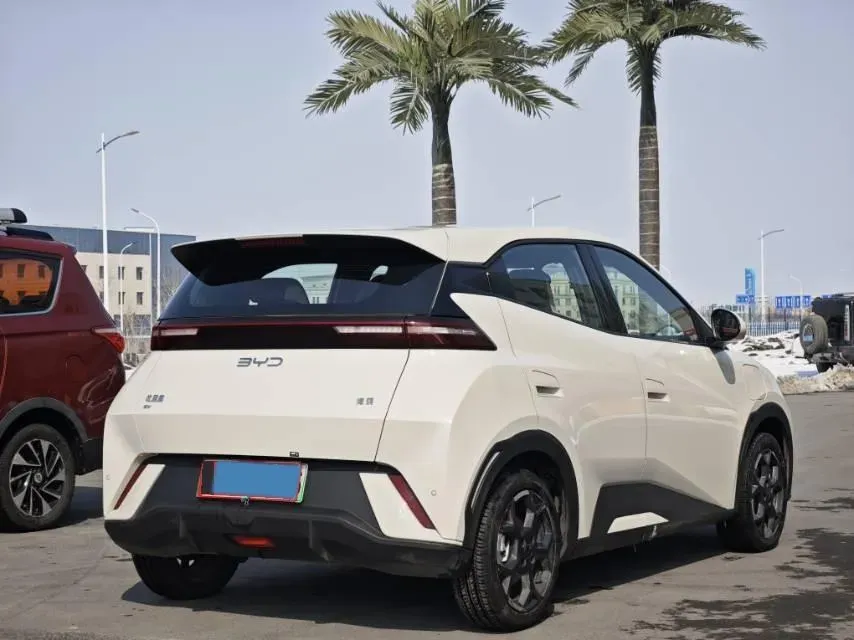 2025 BYD Seagull BEV 38.88KWH,autocango,china used car exporter,china ev exporter,chinese used car exporter,chinese used ev exporter