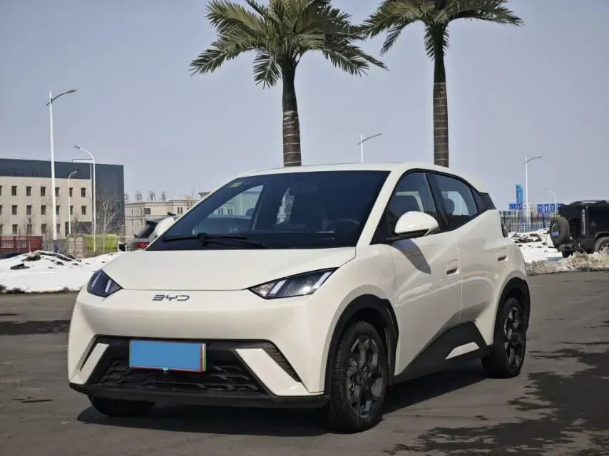 2025 BYD Seagull BEV 38.88KWH,autocango,china used car exporter,china ev exporter,chinese used car exporter,chinese used ev exporter