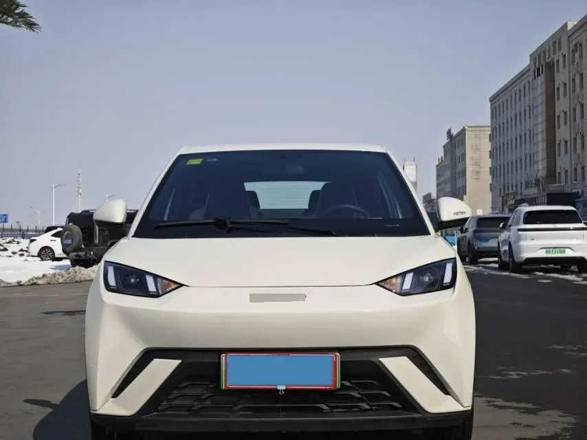 2025 BYD Seagull BEV 38.88KWH,autocango,china used car exporter,china ev exporter,chinese used car exporter,chinese used ev exporter