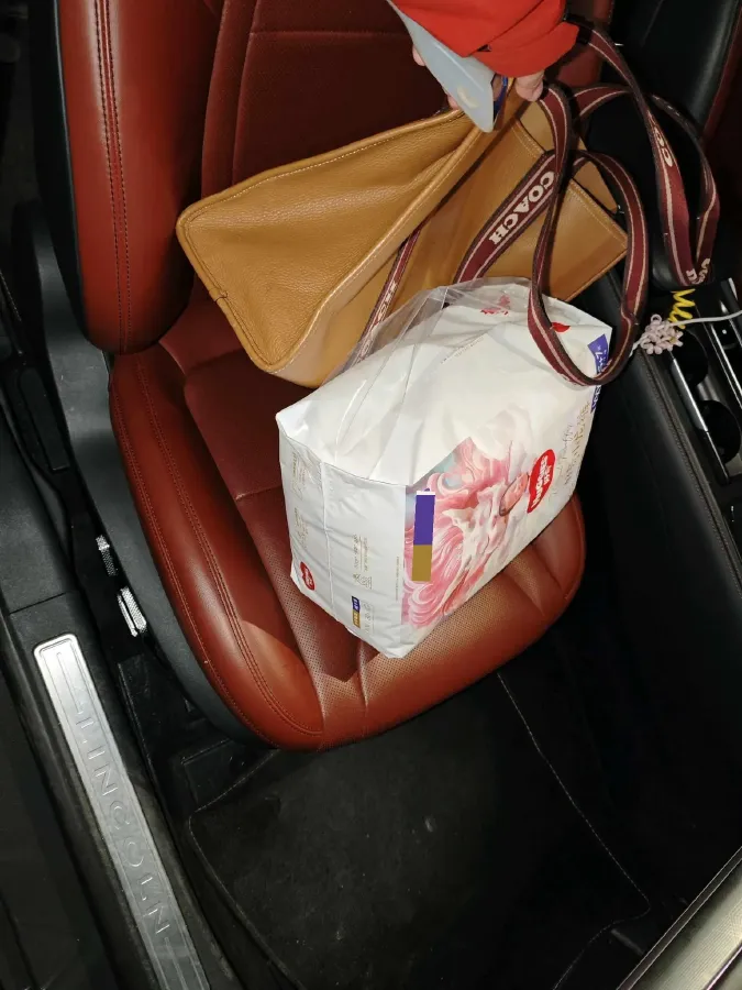 2022 Lincoln Z 2.0T 246HP L4 8AT,autocango,china used car exporter,china ev exporter,chinese used car exporter,chinese used ev exporter