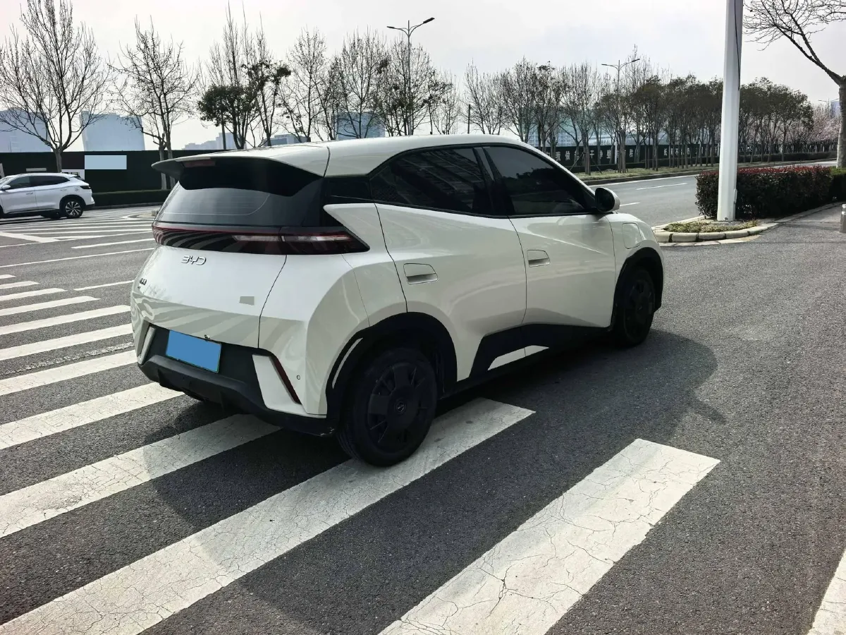 2024 BYD Seagull BEV 30.08KWH,autocango,china used car exporter,china ev exporter,chinese used car exporter,chinese used ev exporter
