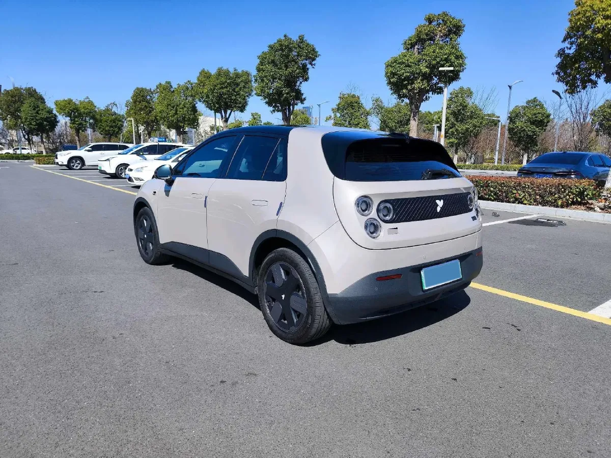 2025 Firefly Firefly BEV,autocango,china used car exporter,china ev exporter,chinese used car exporter,chinese used ev exporter