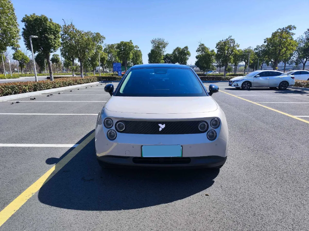 2025 Firefly Firefly BEV,autocango,china used car exporter,china ev exporter,chinese used car exporter,chinese used ev exporter