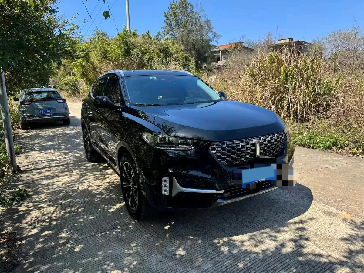 2021 WEY VV6 2.0T 227HP L4 7DCT,autocango,china used car exporter,china ev exporter,chinese used car exporter,chinese used ev exporter