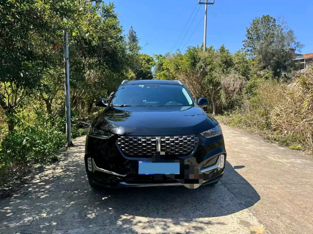 2021 WEY VV6 2.0T 227HP L4 7DCT,autocango,china used car exporter,china ev exporter,chinese used car exporter,chinese used ev exporter