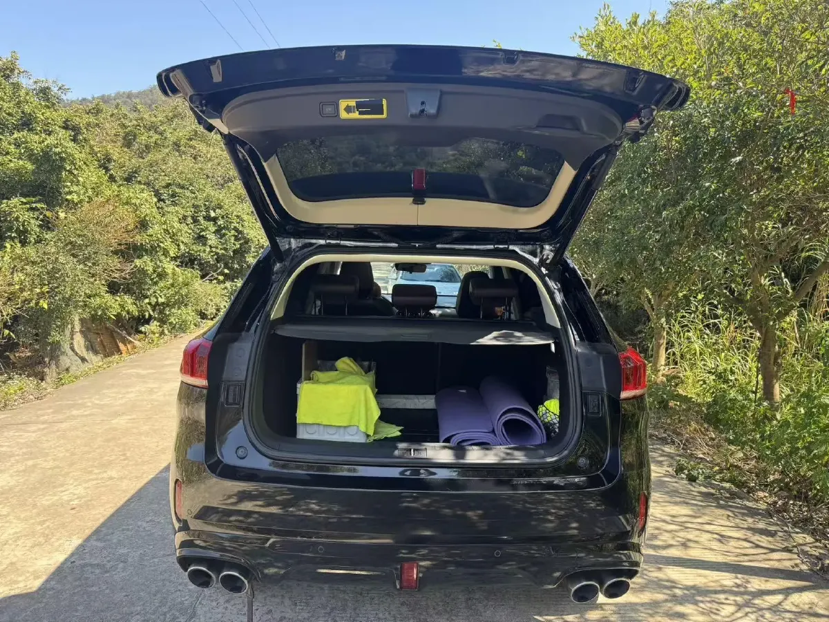 2021 WEY VV6 2.0T 227HP L4 7DCT,autocango,china used car exporter,china ev exporter,chinese used car exporter,chinese used ev exporter