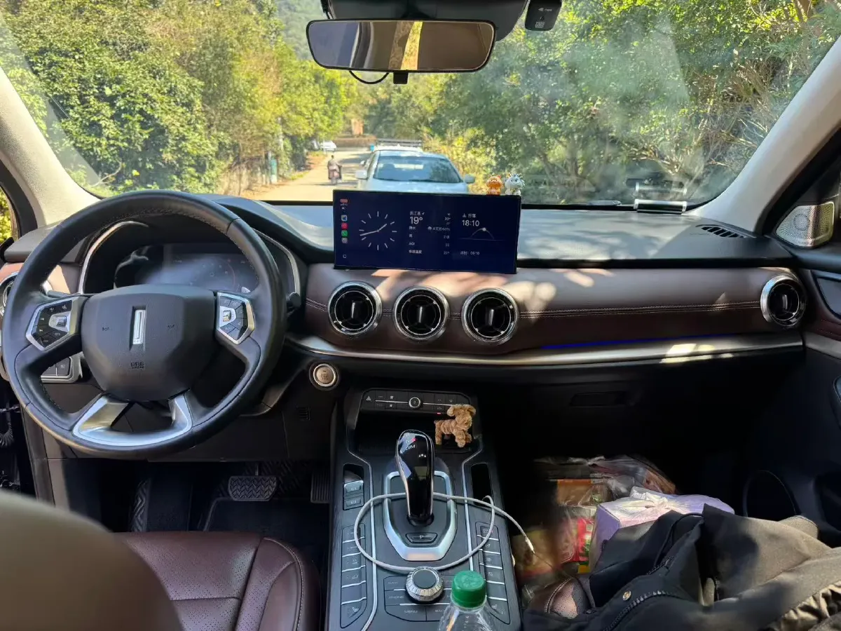 2021 WEY VV6 2.0T 227HP L4 7DCT,autocango,china used car exporter,china ev exporter,chinese used car exporter,chinese used ev exporter