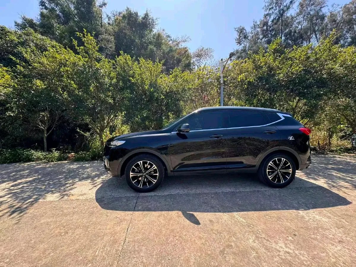 2021 WEY VV6 2.0T 227HP L4 7DCT,autocango,china used car exporter,china ev exporter,chinese used car exporter,chinese used ev exporter