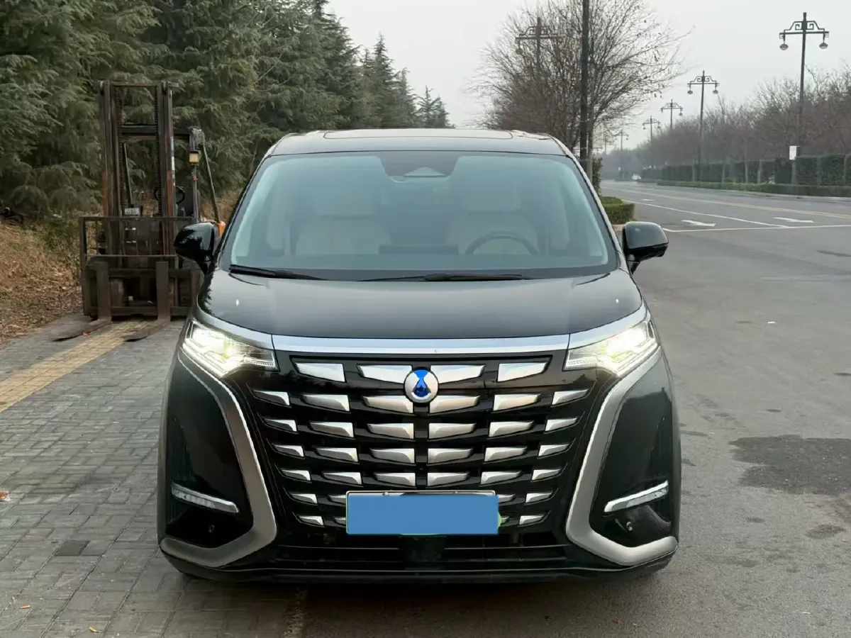 2024 Denza D9 1.5T 139HP L4 E-CVT PHEV 20.39KWH,autocango,china used car exporter,china ev exporter,chinese used car exporter,chinese used ev exporter