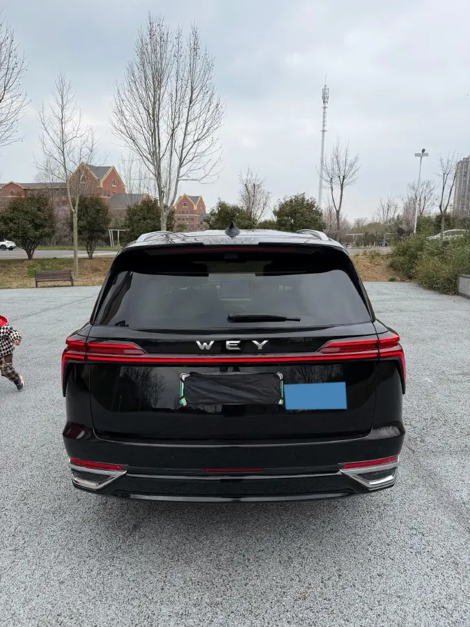 2025 WEY BlueMountain 1.5T 170HP L4 4DHT PHEV 52.3KWH,autocango,china used car exporter,china ev exporter,chinese used car exporter,chinese used ev exporter