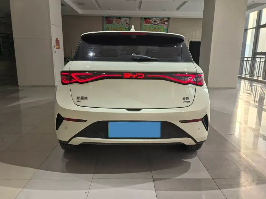 2025 BYD Dolphin BEV 45.12KWH,autocango,china used car exporter,china ev exporter,chinese used car exporter,chinese used ev exporter