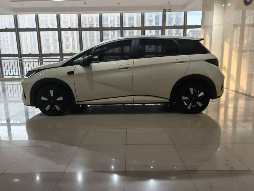 2025 BYD Dolphin BEV 45.12KWH,autocango,china used car exporter,china ev exporter,chinese used car exporter,chinese used ev exporter