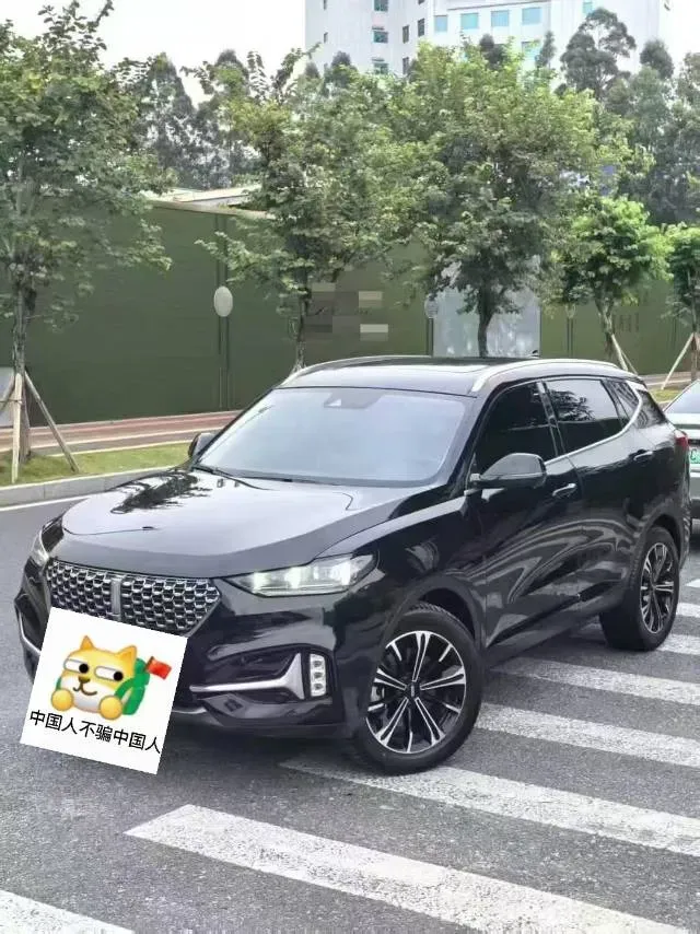 2021 WEY VV6 2.0T 227HP L4 7DCT,autocango,china used car exporter,china ev exporter,chinese used car exporter,chinese used ev exporter
