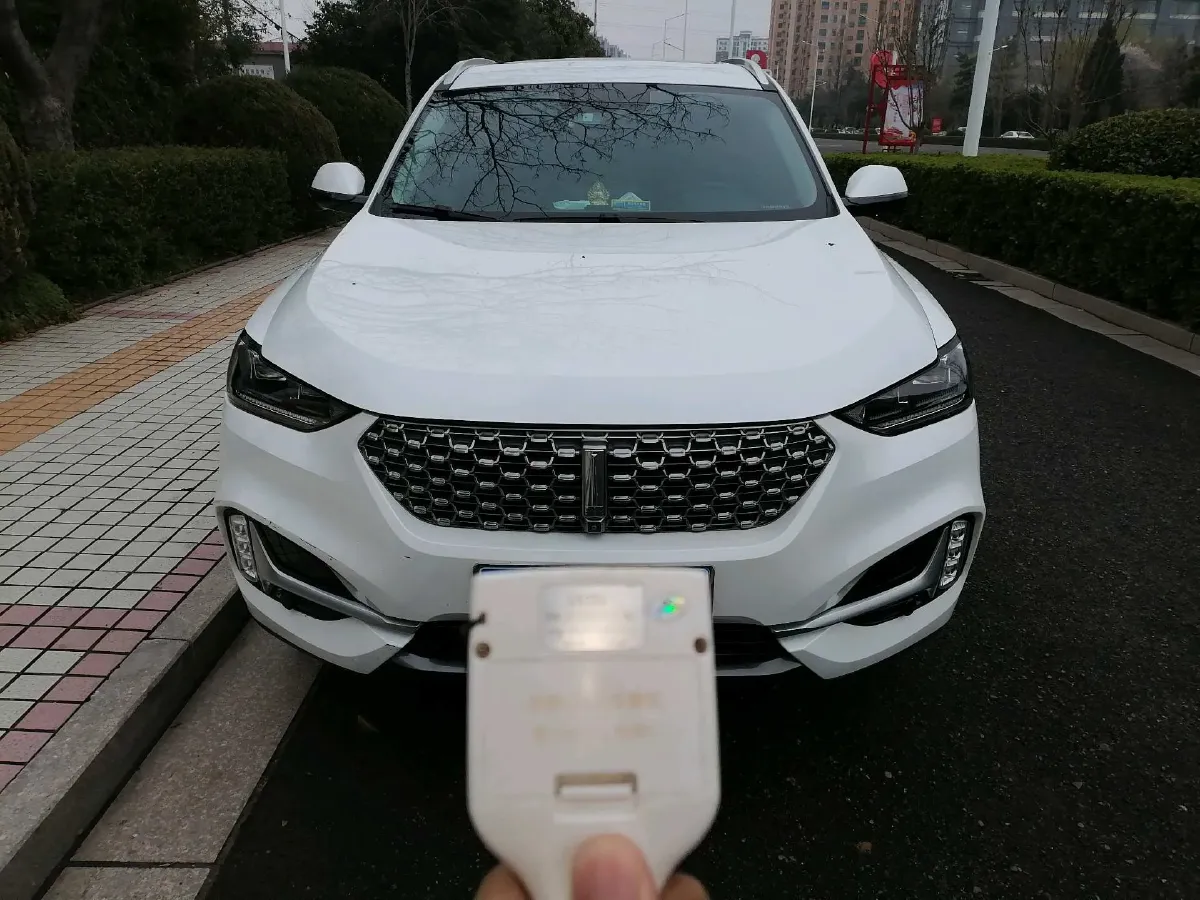 2020 WEY VV6 2.0T 227HP L4 7DCT,autocango,china used car exporter,china ev exporter,chinese used car exporter,chinese used ev exporter