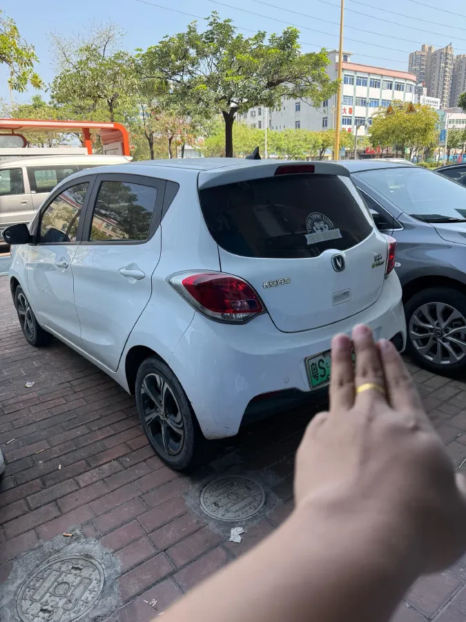 2022 ChangAn BenBen E-Star BEV 31.95KWH,autocango,china used car exporter,china ev exporter,chinese used car exporter,chinese used ev exporter