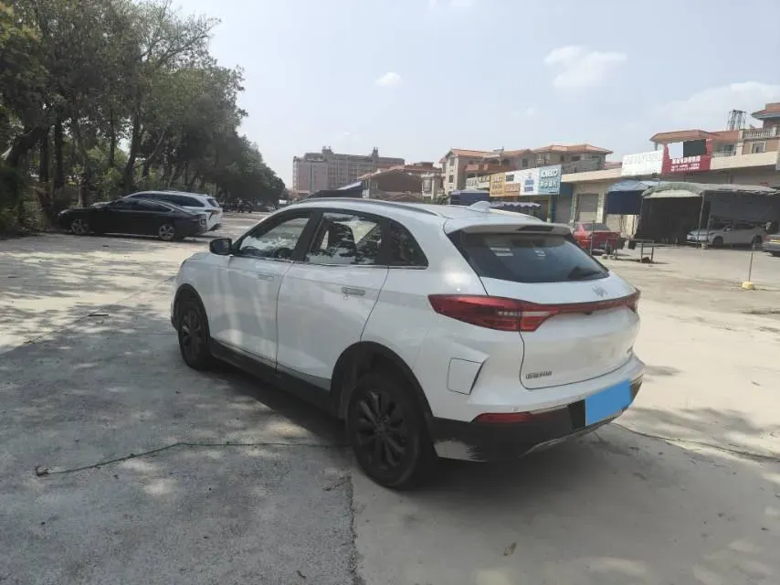 2018 Weltmeister EX5 BEV 52.56KWH,autocango,china used car exporter,china ev exporter,chinese used car exporter,chinese used ev exporter