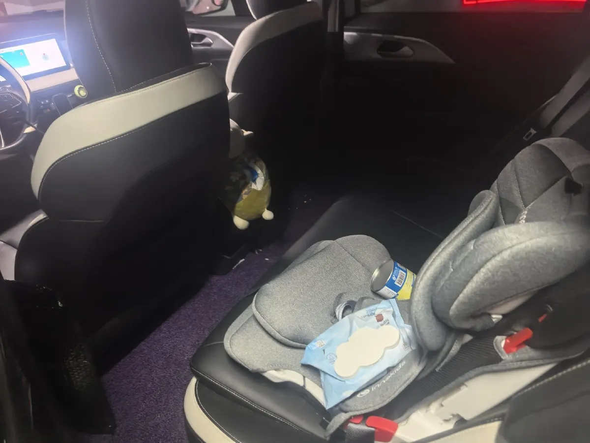 2022 Geometry E BEV 39.4KWH,autocango,china used car exporter,china ev exporter,chinese used car exporter,chinese used ev exporter