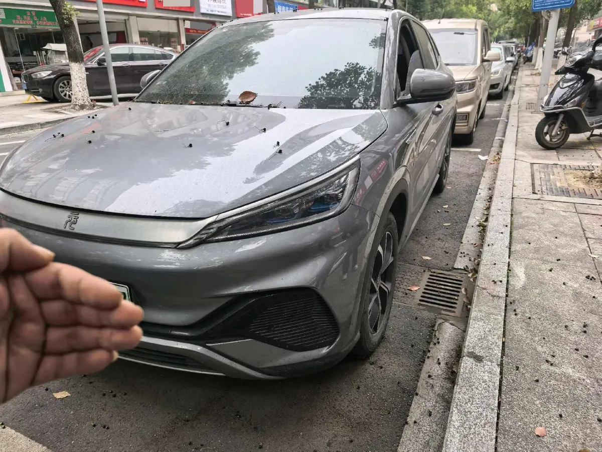 2023 BYD Yuan Plus BEV 49.92KWH,autocango,china used car exporter,china ev exporter,chinese used car exporter,chinese used ev exporter