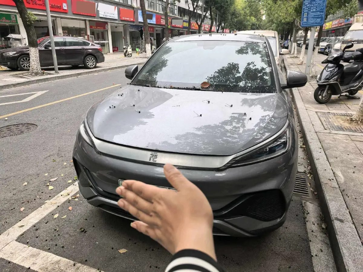 2023 BYD Yuan Plus BEV 49.92KWH,autocango,china used car exporter,china ev exporter,chinese used car exporter,chinese used ev exporter