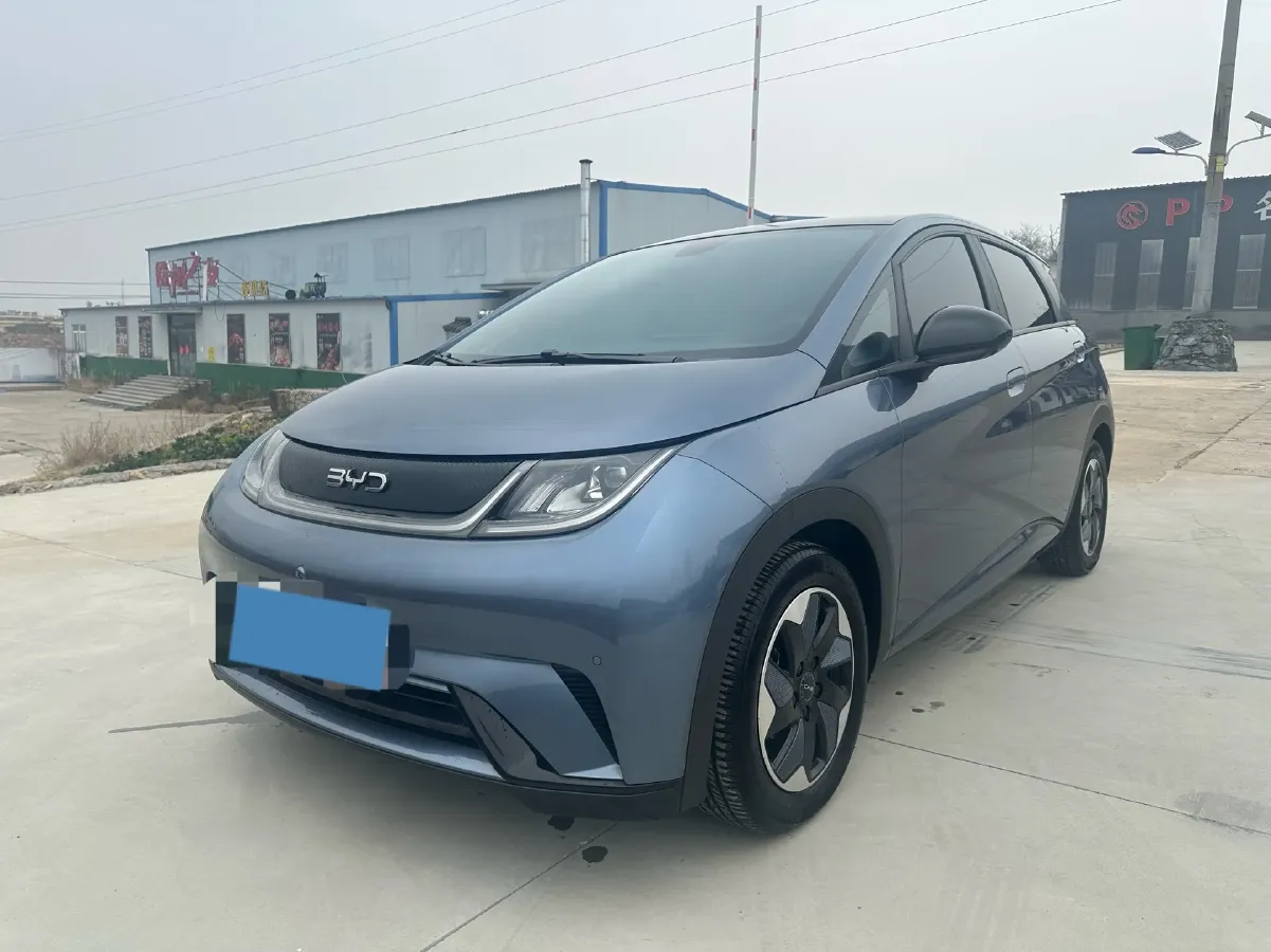 2024 BYD Dolphin BEV 44.928KWH,autocango,china used car exporter,china ev exporter,chinese used car exporter,chinese used ev exporter