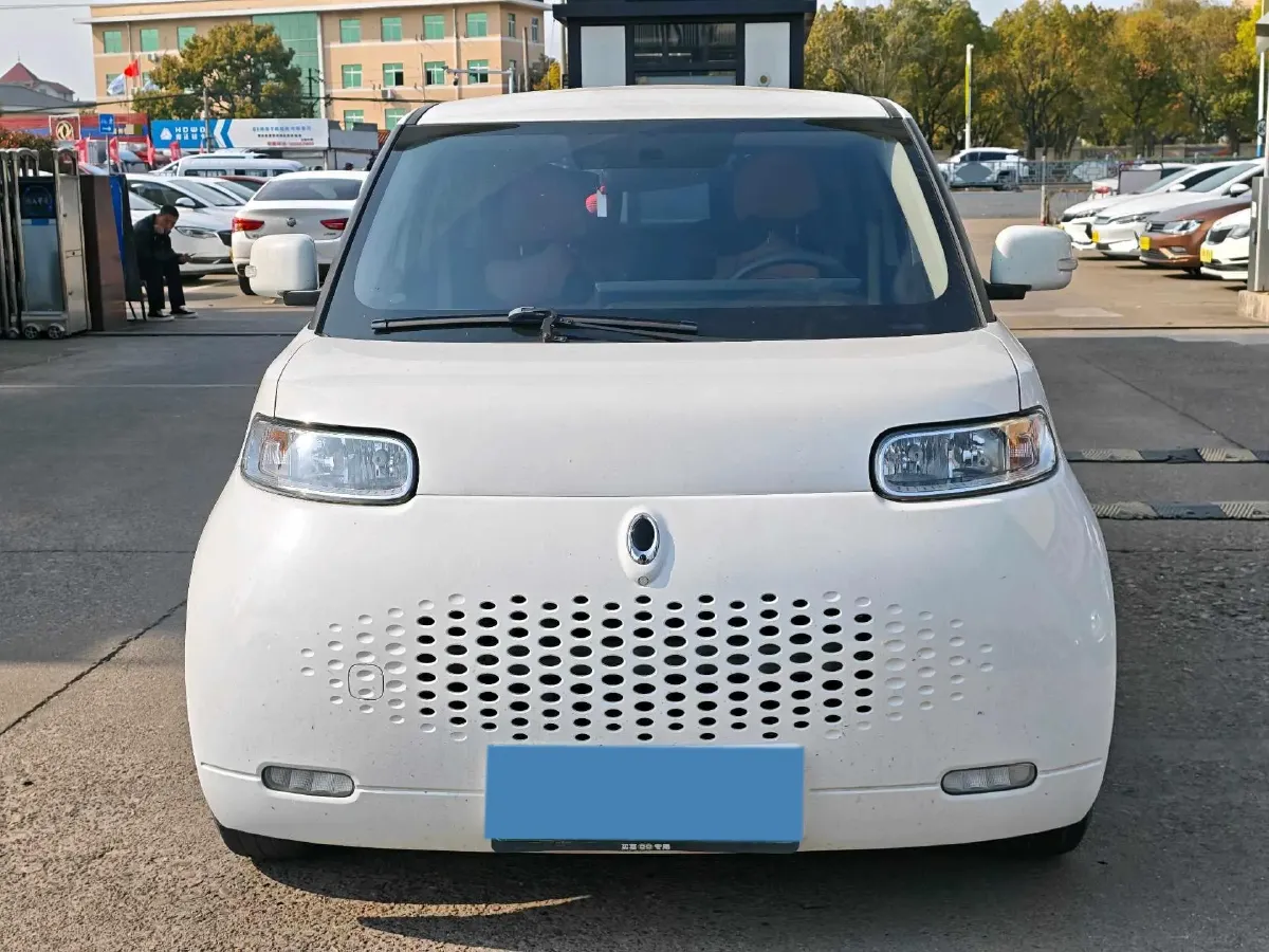 2020 Ora WhiteCat BEV 33KWH,autocango,china used car exporter,china ev exporter,chinese used car exporter,chinese used ev exporter