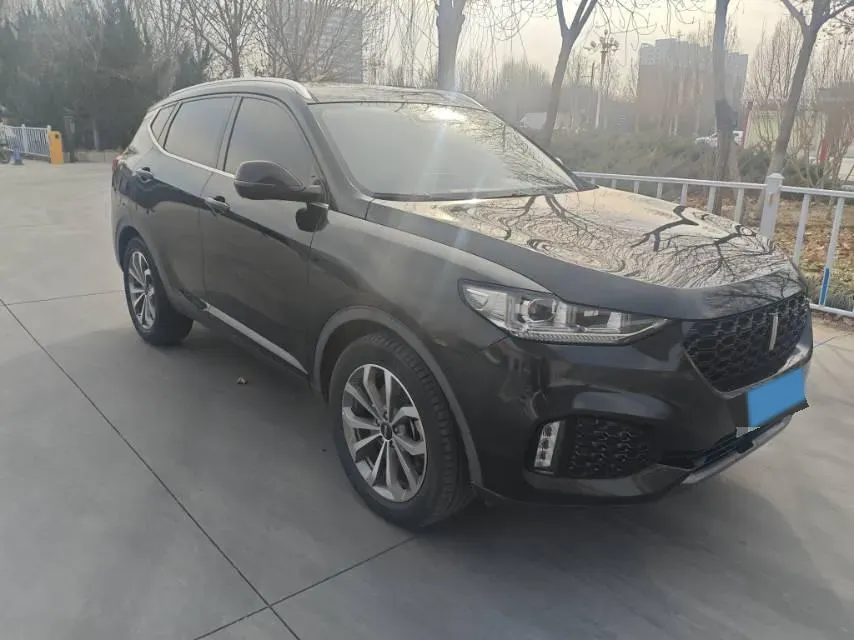 2019 WEY VV6 2.0T 224HP L4 7DCT,autocango,china used car exporter,china ev exporter,chinese used car exporter,chinese used ev exporter