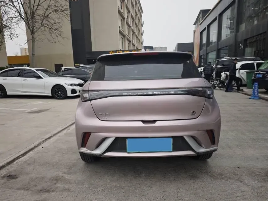 2021 BYD Yuan Pro BEV 50.1KWH,autocango,china used car exporter,china ev exporter,chinese used car exporter,chinese used ev exporter