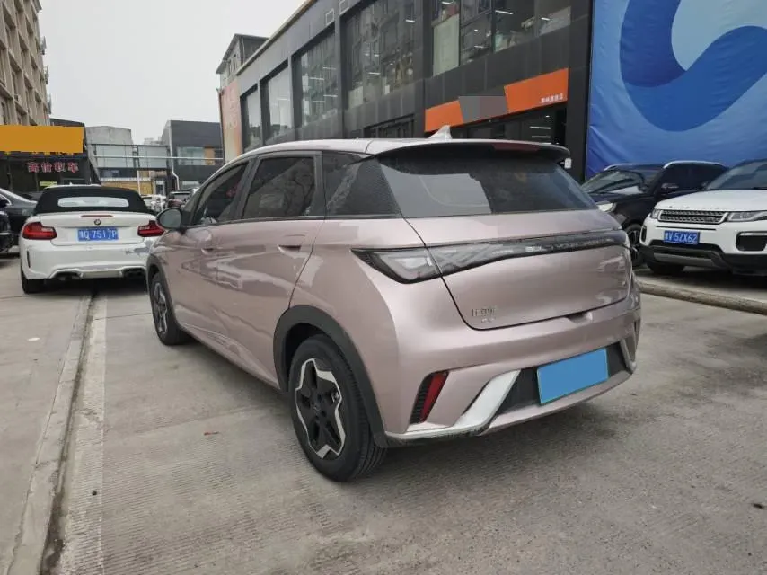 2021 BYD Yuan Pro BEV 50.1KWH,autocango,china used car exporter,china ev exporter,chinese used car exporter,chinese used ev exporter