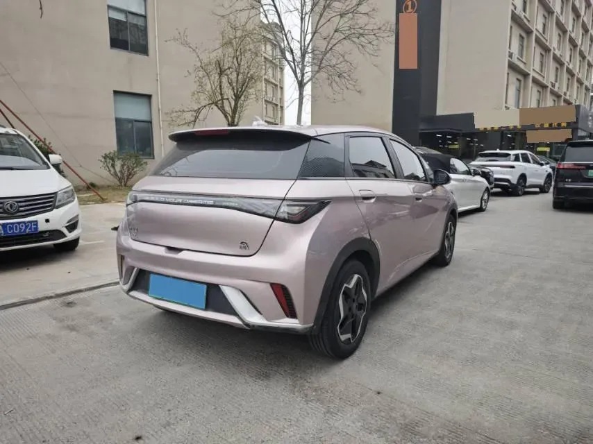 2021 BYD Yuan Pro BEV 50.1KWH,autocango,china used car exporter,china ev exporter,chinese used car exporter,chinese used ev exporter