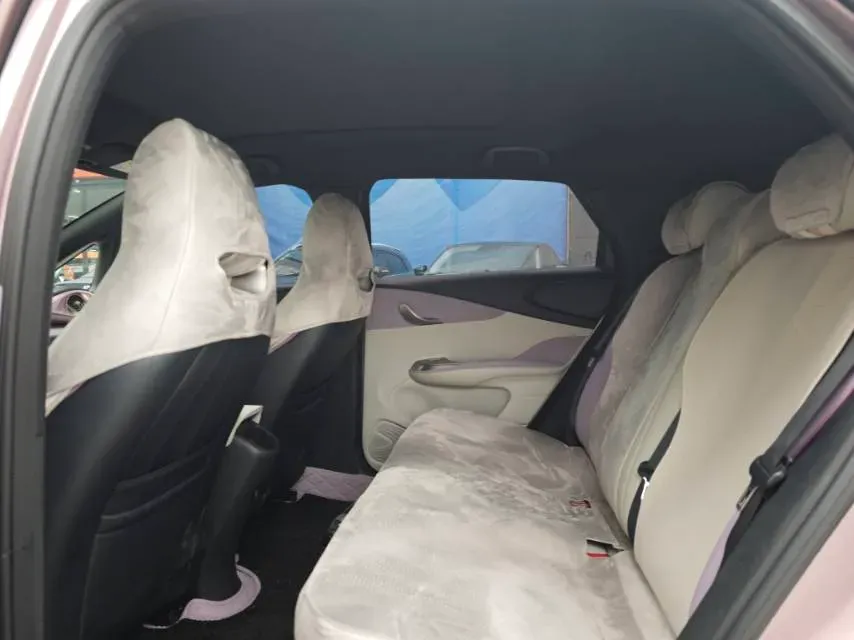 2021 BYD Yuan Pro BEV 50.1KWH,autocango,china used car exporter,china ev exporter,chinese used car exporter,chinese used ev exporter