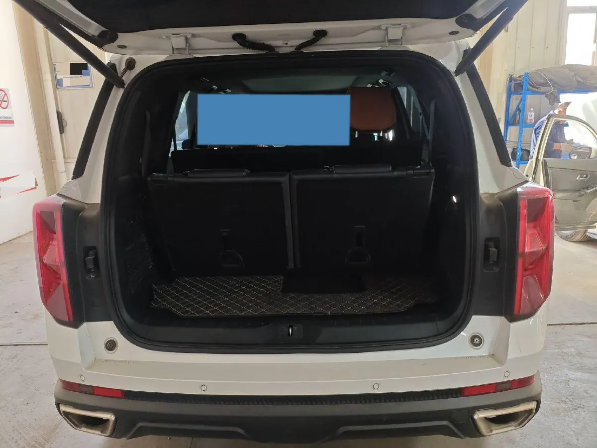 2022 GAC Trumpchi GS8 2.0T 252HP L4 8AT,autocango,china used car exporter,china ev exporter,chinese used car exporter,chinese used ev exporter