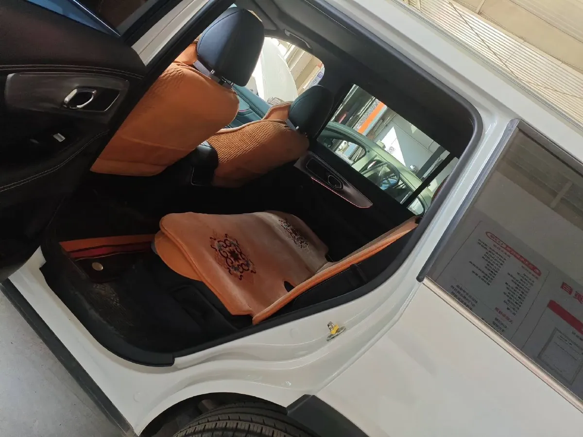 2022 GAC Trumpchi GS8 2.0T 252HP L4 8AT,autocango,china used car exporter,china ev exporter,chinese used car exporter,chinese used ev exporter