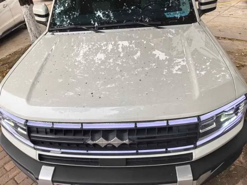 2023 FangChengBao Bao 5 1.5T 194HP L4 E-CVT PHEV 31.8KWH,autocango,china used car exporter,china ev exporter,chinese used car exporter,chinese used ev exporter