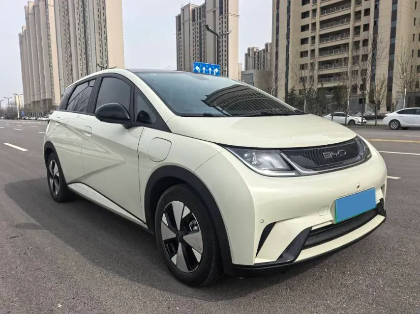 2023 BYD Dolphin BEV 44.928KWH,autocango,china used car exporter,china ev exporter,chinese used car exporter,chinese used ev exporter
