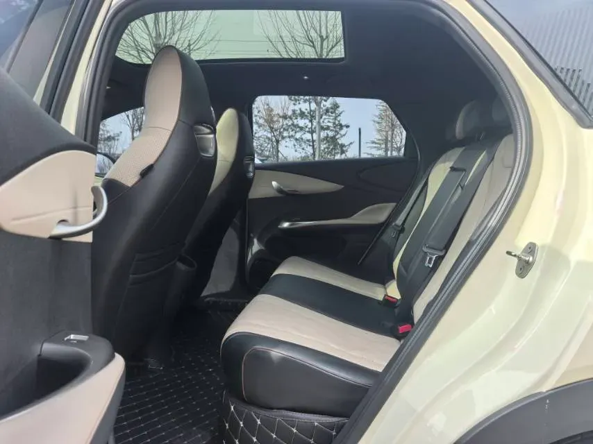 2023 BYD Dolphin BEV 44.928KWH,autocango,china used car exporter,china ev exporter,chinese used car exporter,chinese used ev exporter