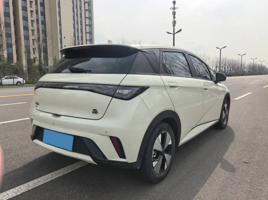 2023 BYD Dolphin BEV 44.928KWH,autocango,china used car exporter,china ev exporter,chinese used car exporter,chinese used ev exporter
