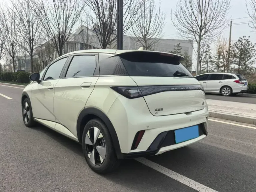 2023 BYD Dolphin BEV 44.928KWH,autocango,china used car exporter,china ev exporter,chinese used car exporter,chinese used ev exporter