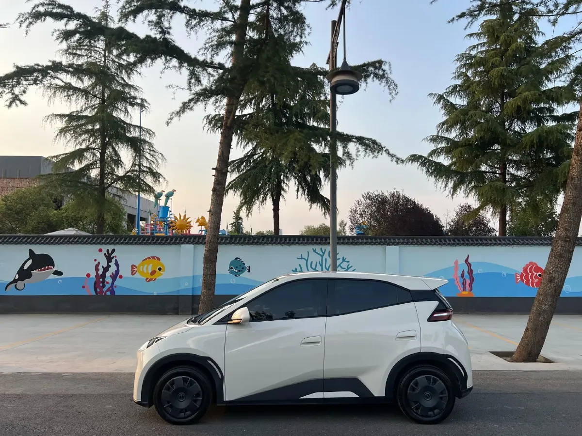 2025 BYD Seagull BEV 30.08KWH,autocango,china used car exporter,china ev exporter,chinese used car exporter,chinese used ev exporter