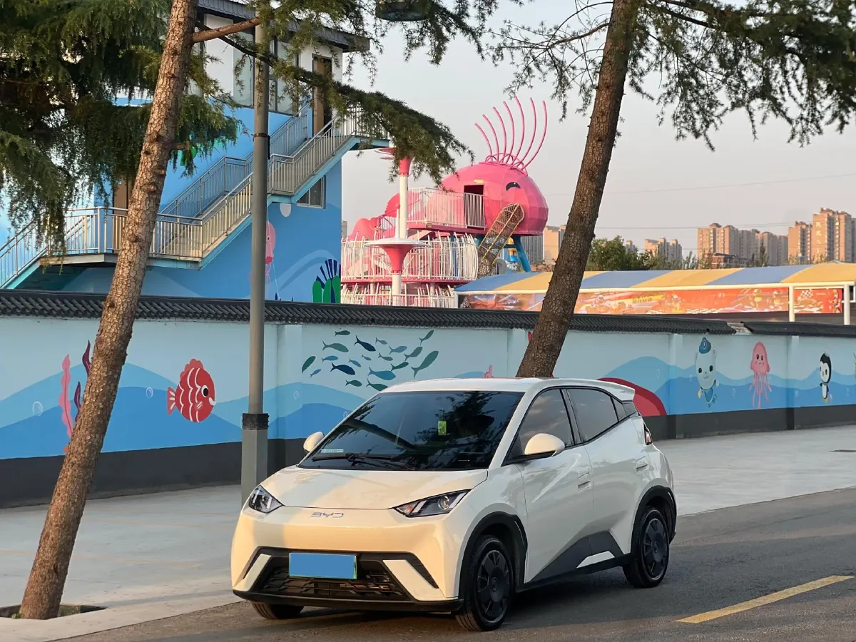 2025 BYD Seagull BEV 30.08KWH,autocango,china used car exporter,china ev exporter,chinese used car exporter,chinese used ev exporter