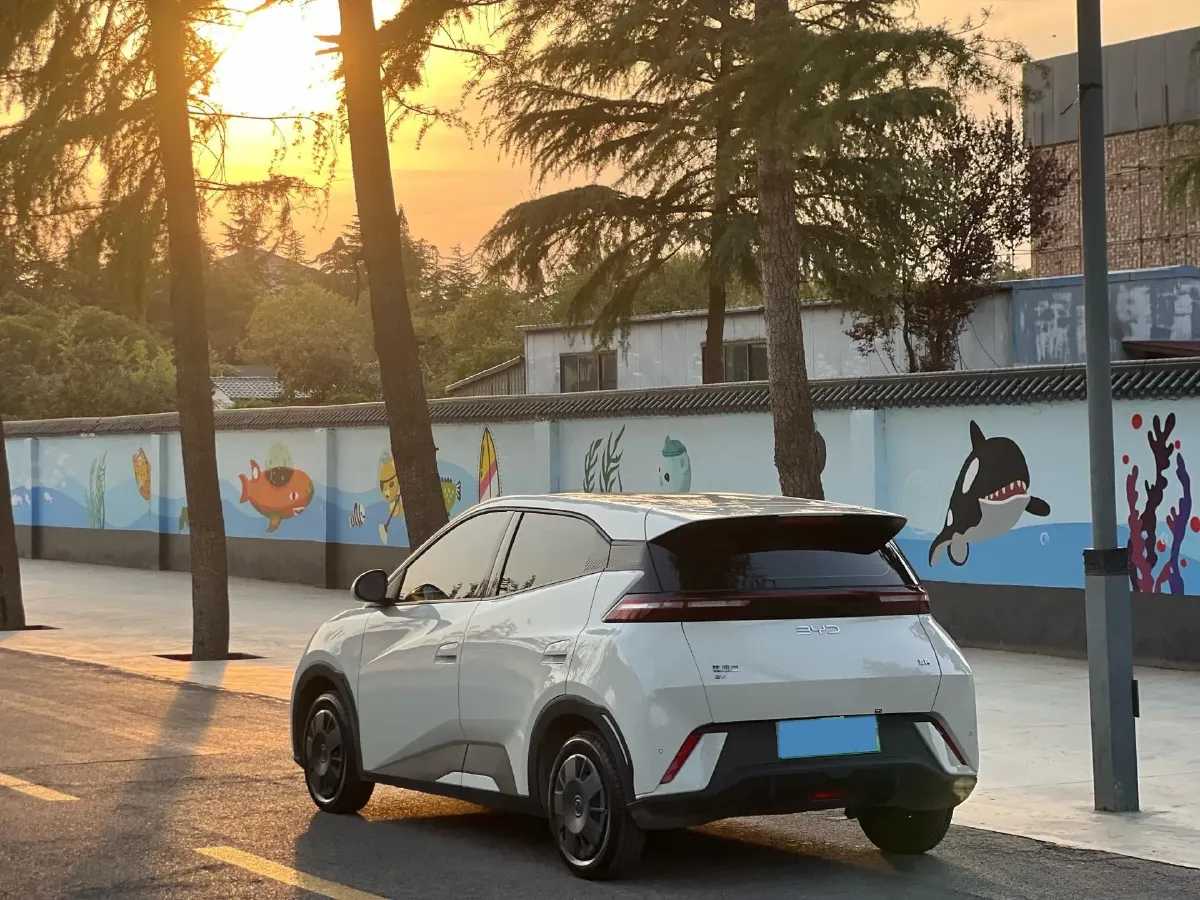 2025 BYD Seagull BEV 30.08KWH,autocango,china used car exporter,china ev exporter,chinese used car exporter,chinese used ev exporter