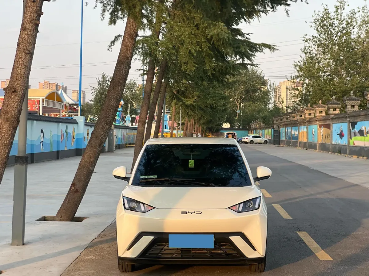 2025 BYD Seagull BEV 30.08KWH,autocango,china used car exporter,china ev exporter,chinese used car exporter,chinese used ev exporter