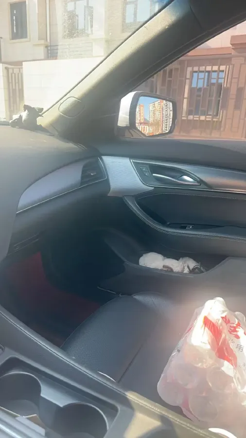 2021 Cadillac CT5 2.0T 237HP L4 10AT,autocango,china used car exporter,china ev exporter,chinese used car exporter,chinese used ev exporter