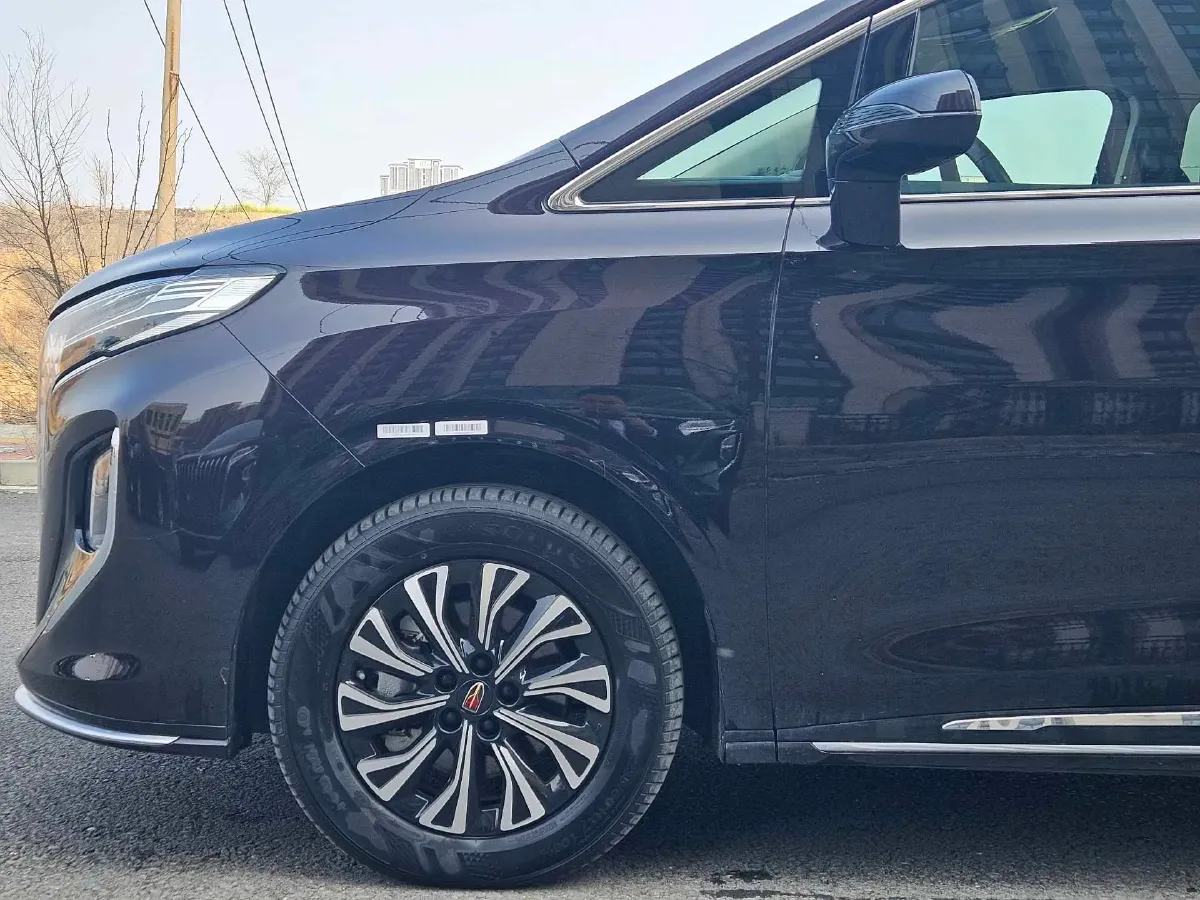 2024 HongQi HQ9 2.0T 163HP L4 1DHT PHEV 20.14KWH,autocango,china used car exporter,china ev exporter,chinese used car exporter,chinese used ev exporter