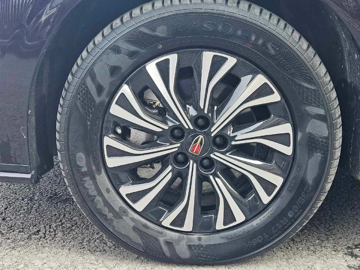 2024 HongQi HQ9 2.0T 163HP L4 1DHT PHEV 20.14KWH,autocango,china used car exporter,china ev exporter,chinese used car exporter,chinese used ev exporter