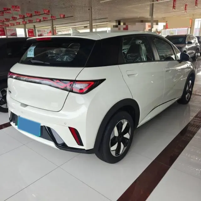 2025 BYD Dolphin BEV 44.928KWH,autocango,china used car exporter,china ev exporter,chinese used car exporter,chinese used ev exporter